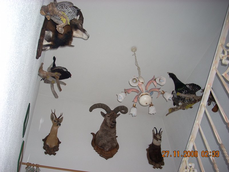 SOLDEN 2008 PROSINEC 093.jpg